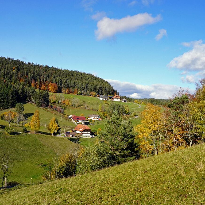 Herbst Tennenbronn Altenburg Mulpenbuehl Mittelberg 16