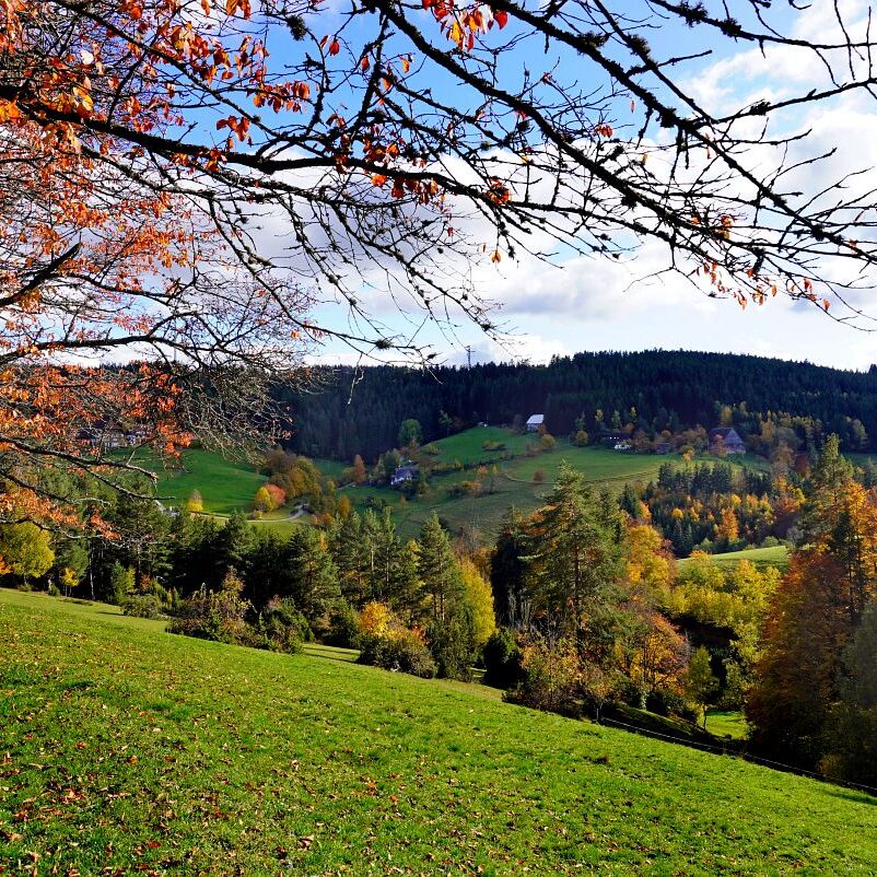 Herbst Tennenbronn Altenburg Mulpenbuehl Mittelberg 18
