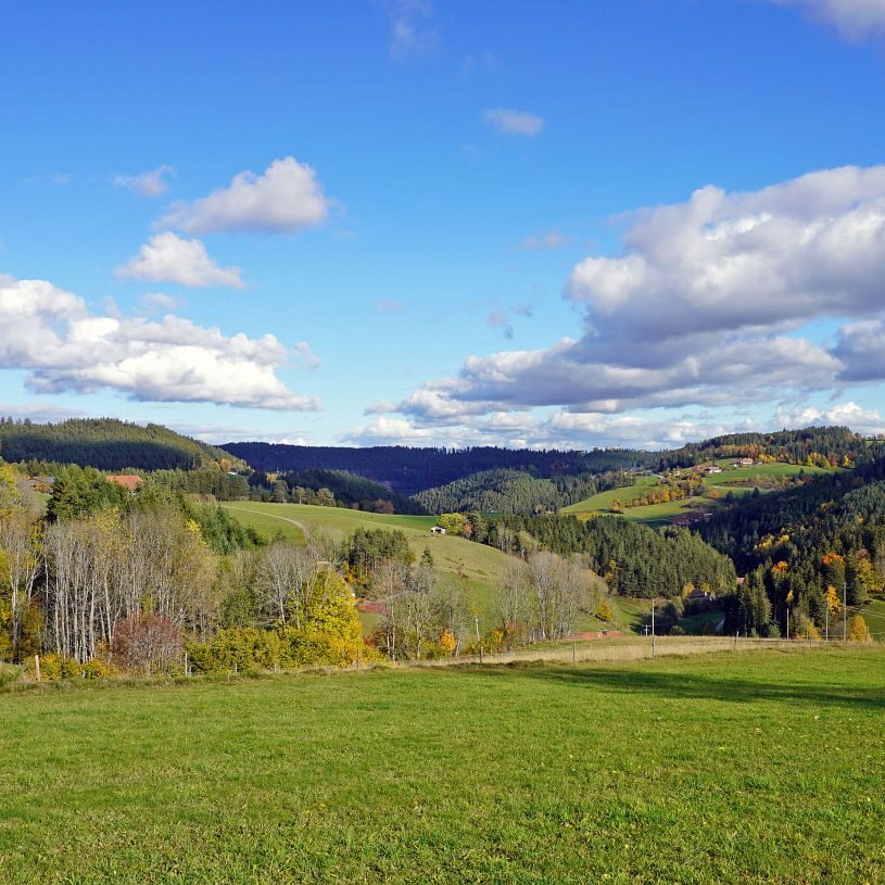Herbst Tennenbronn Altenburg Mulpenbuehl Mittelberg 19