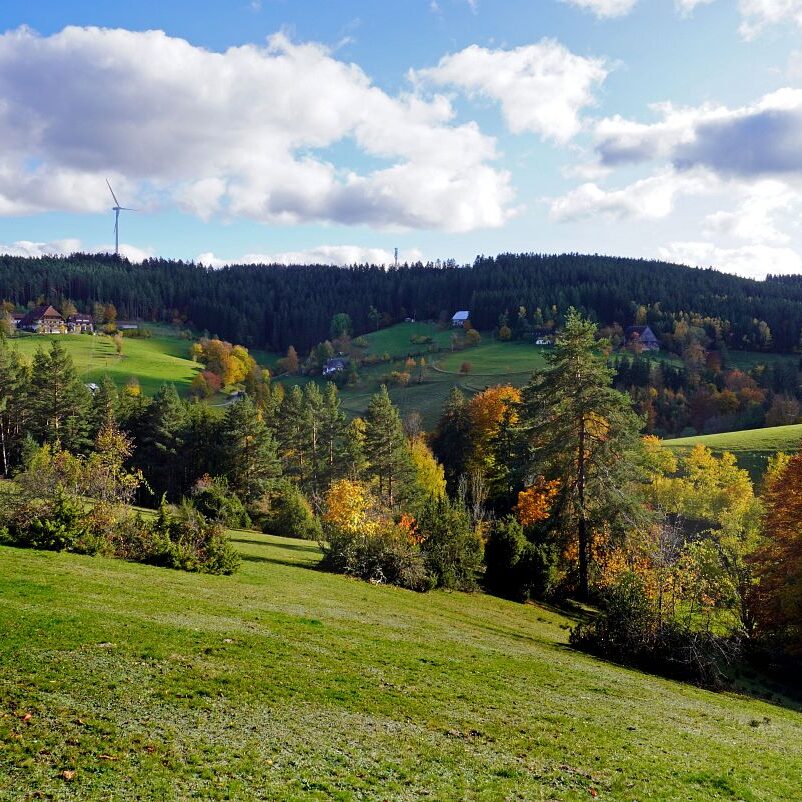 Herbst Tennenbronn Altenburg Mulpenbuehl Mittelberg 20