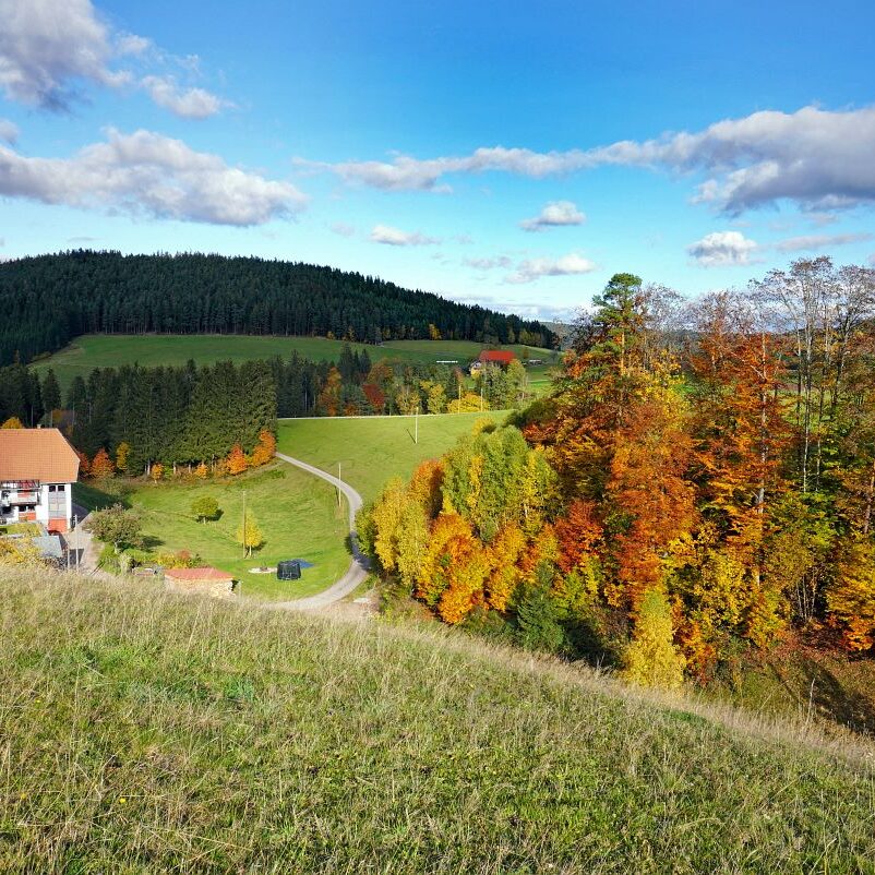 Herbst Tennenbronn Altenburg Mulpenbuehl Mittelberg 21
