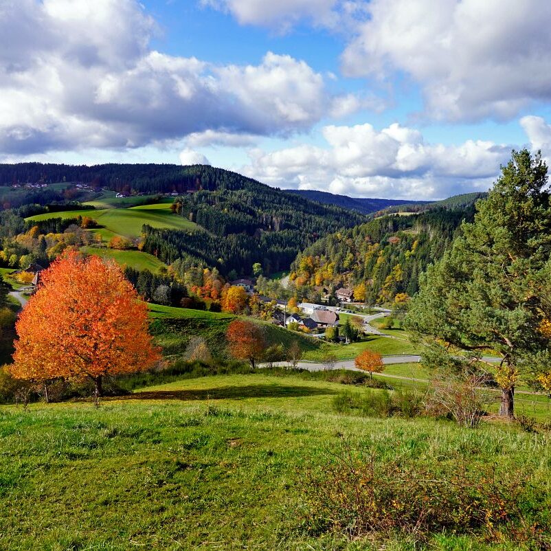 Herbst Tennenbronn Altenburg Mulpenbuehl Mittelberg 5