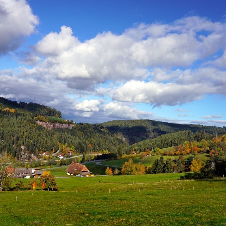 Herbst Tennenbronn Altenburg Mulpenbuehl Mittelberg 8