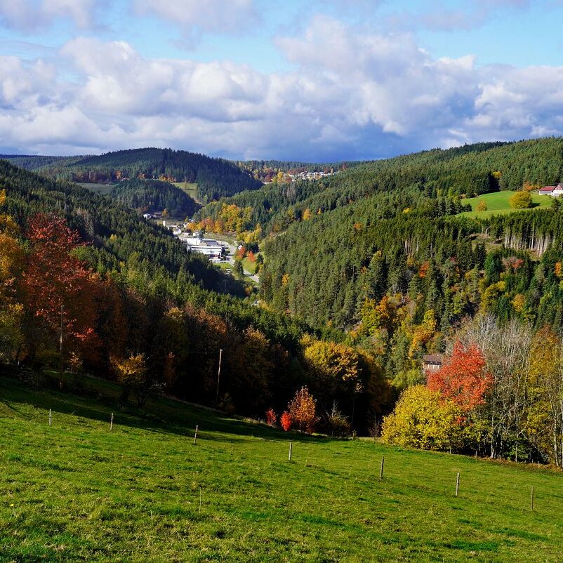 Herbst Tennenbronn Altenburg Mulpenbuehl Mittelberg 9