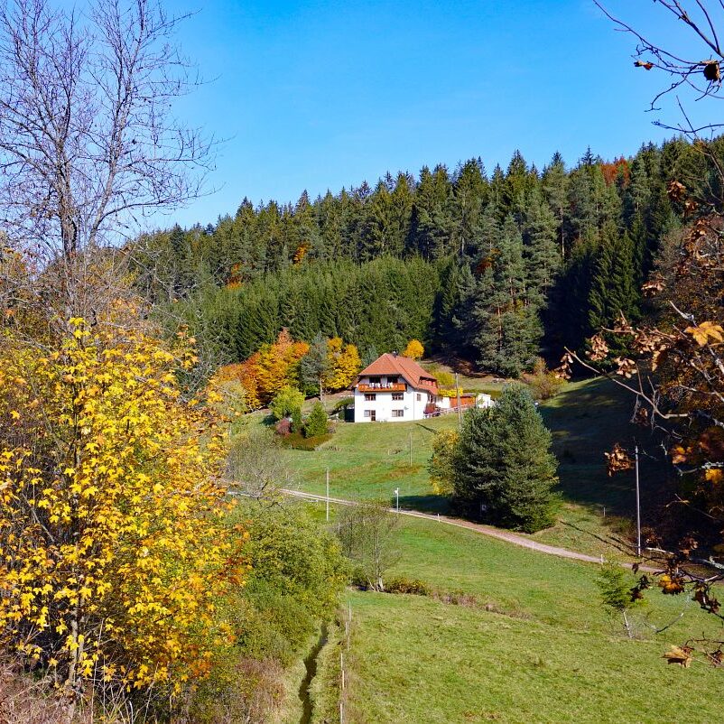 Herbst Tennenbronn Eichbach Gersbach 1