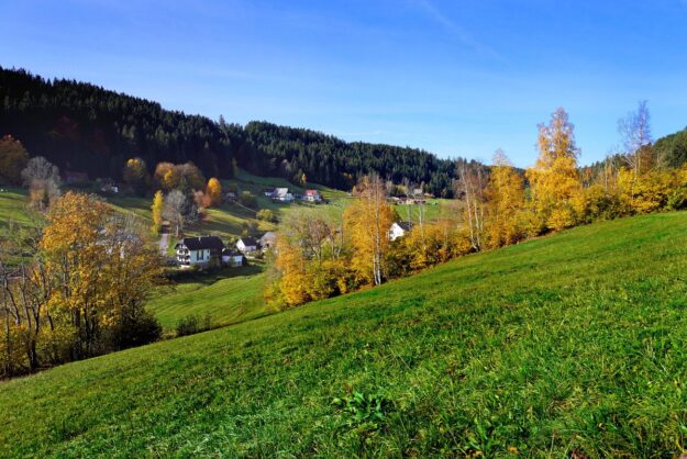 Herbst Tennenbronn Eichbach Gersbach 10