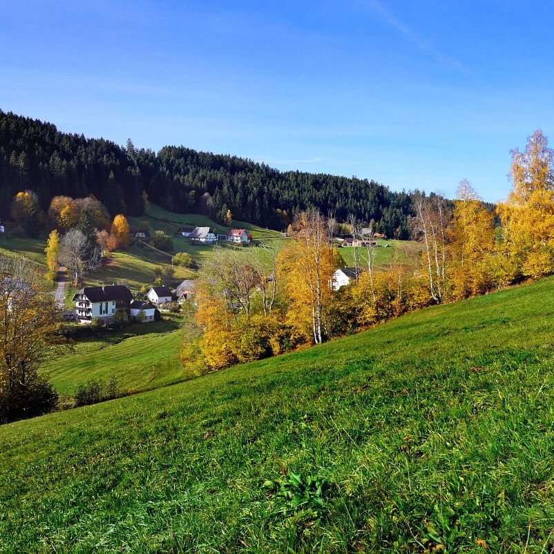 Herbst Tennenbronn Eichbach Gersbach 10