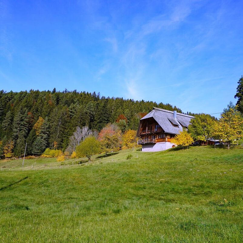Herbst Tennenbronn Eichbach Gersbach 11