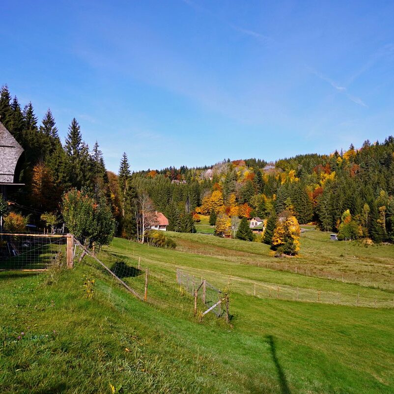 Herbst Tennenbronn Eichbach Gersbach 14