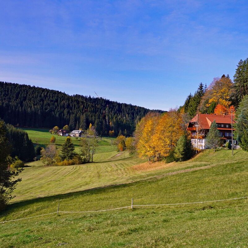 Herbst Tennenbronn Eichbach Gersbach 16