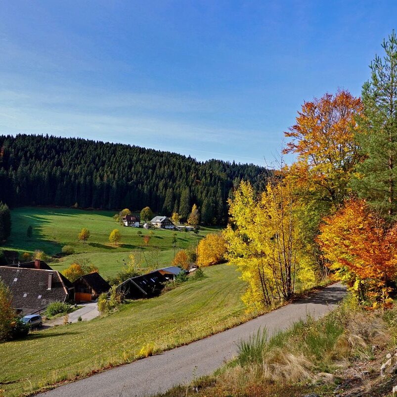 Herbst Tennenbronn Eichbach Gersbach 17