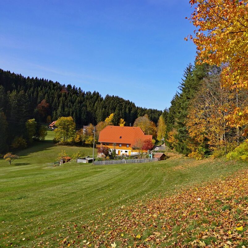 Herbst Tennenbronn Eichbach Gersbach 18