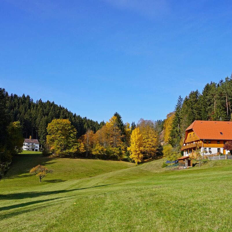 Herbst Tennenbronn Eichbach Gersbach 19