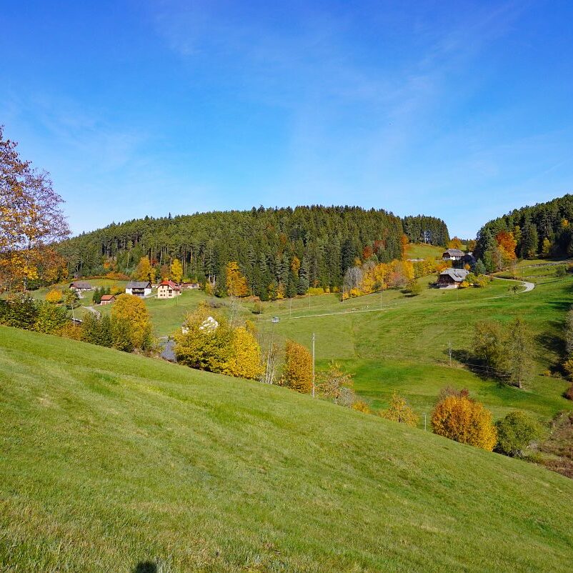 Herbst Tennenbronn Eichbach Gersbach 2