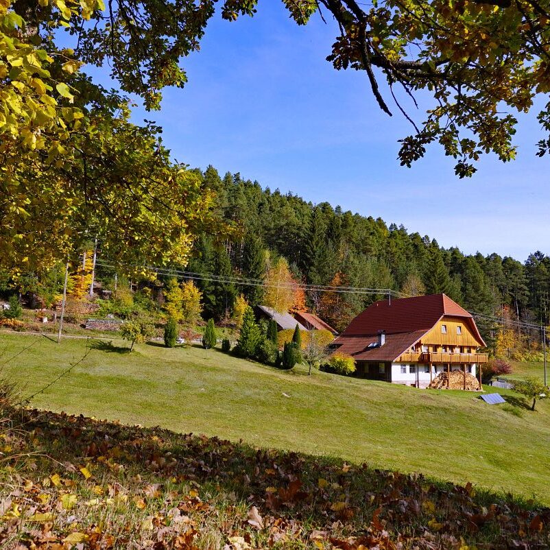 Herbst Tennenbronn Eichbach Gersbach 20
