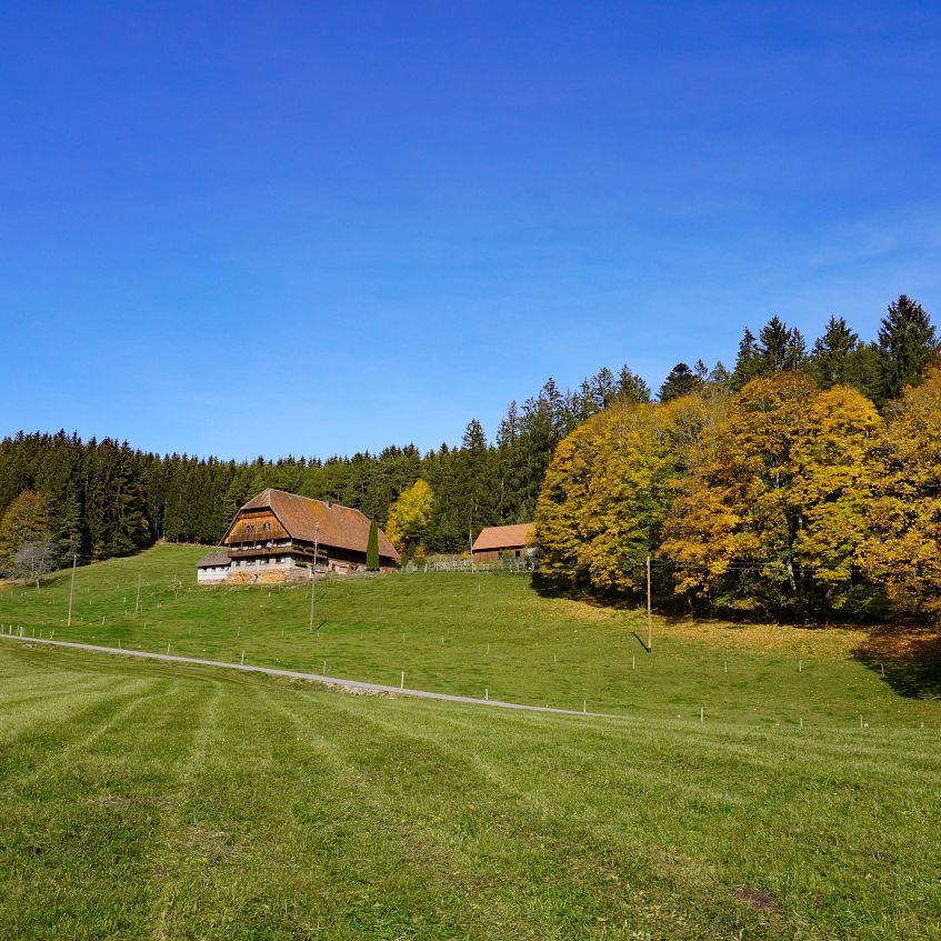 Herbst Tennenbronn Eichbach Gersbach 21
