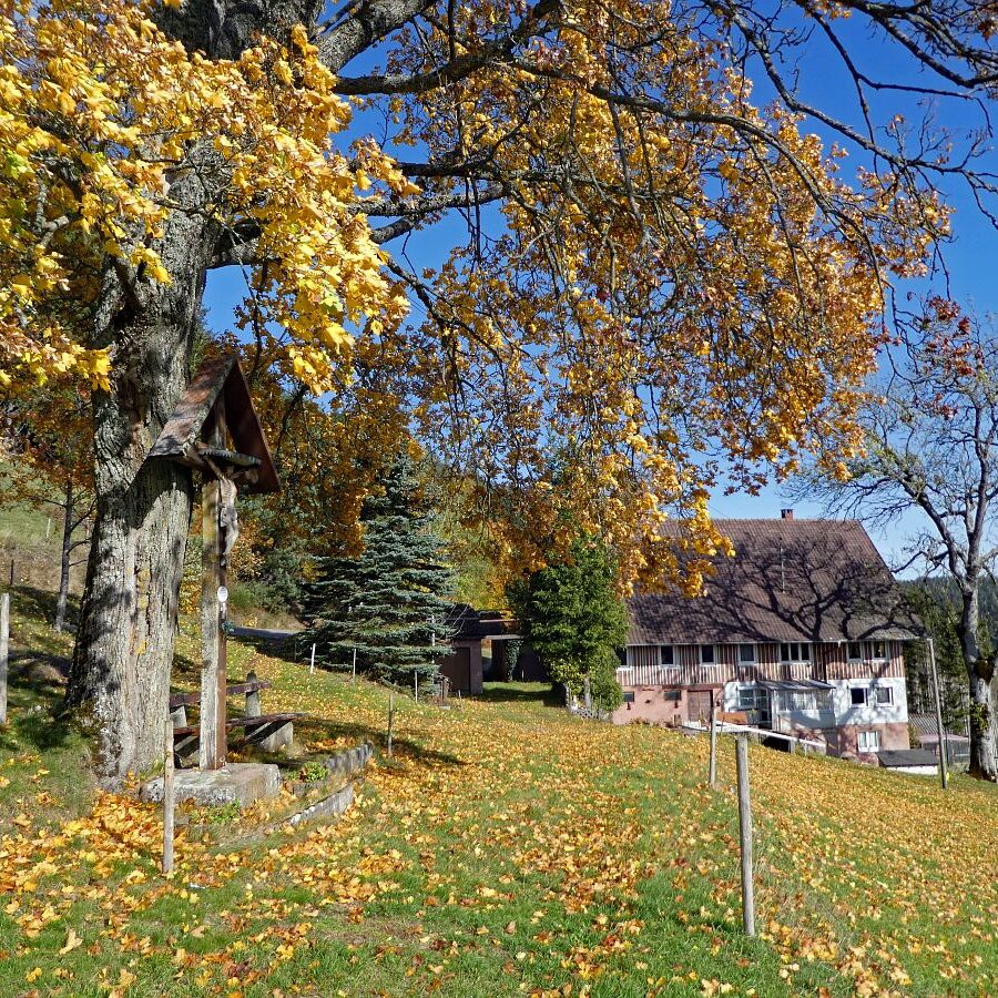 Herbst Tennenbronn Eichbach Gersbach 22