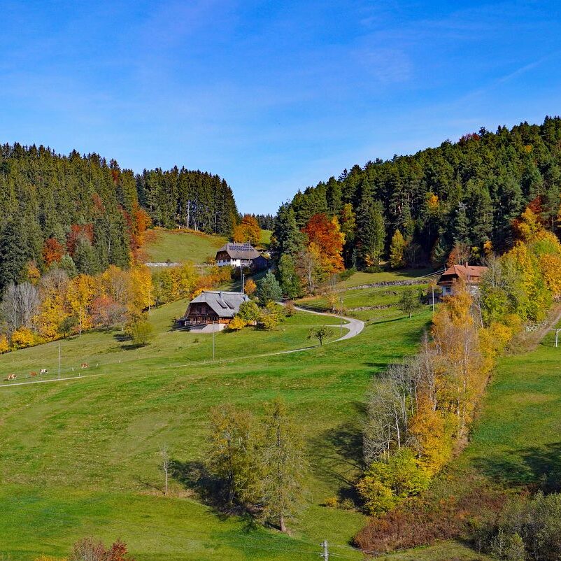 Herbst Tennenbronn Eichbach Gersbach 3