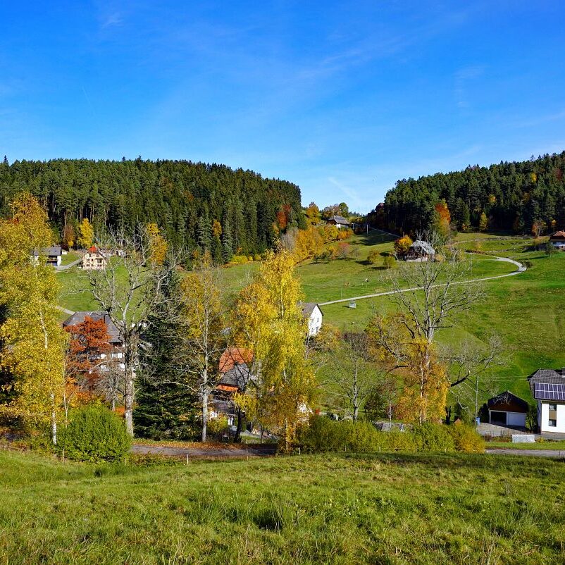 Herbst Tennenbronn Eichbach Gersbach 4