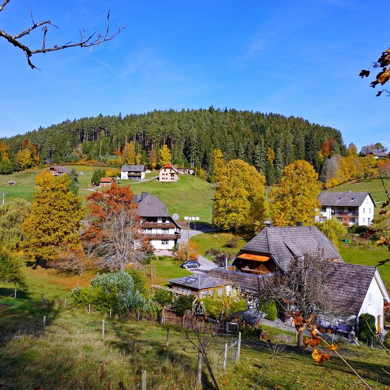 Herbst Tennenbronn Eichbach Gersbach 5