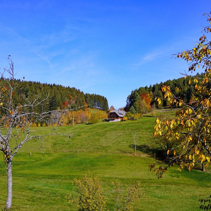 Herbst Tennenbronn Eichbach Gersbach 7
