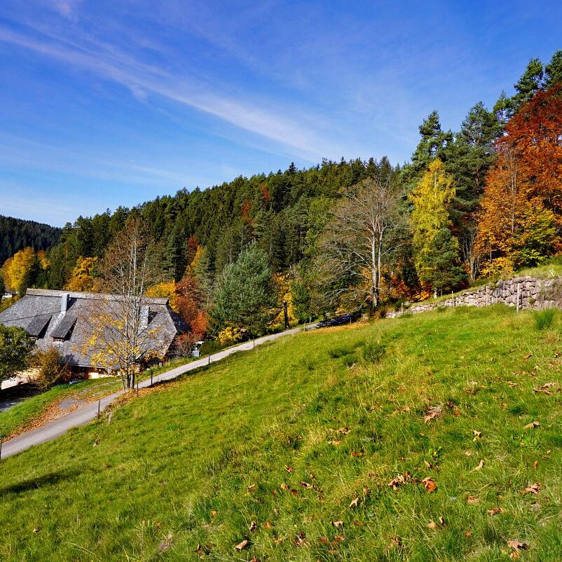 Herbst Tennenbronn Eichbach Gersbach 8
