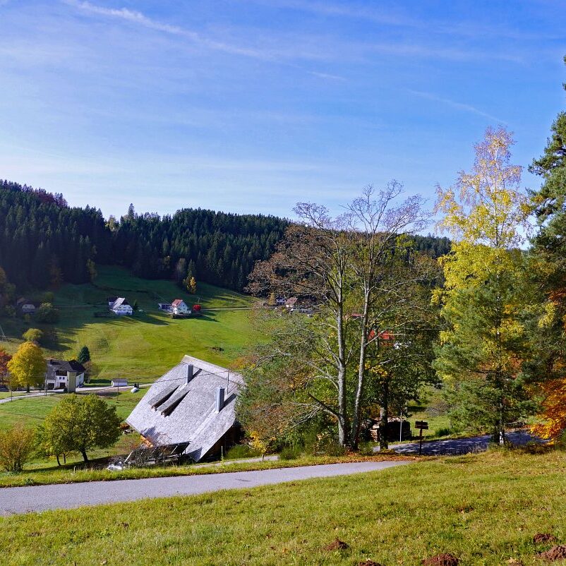 Herbst Tennenbronn Eichbach Gersbach 9
