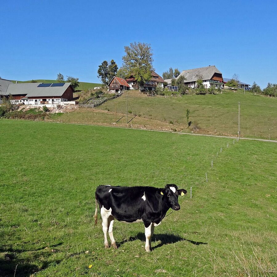 Mooshof und Schwarzenbach 1 1