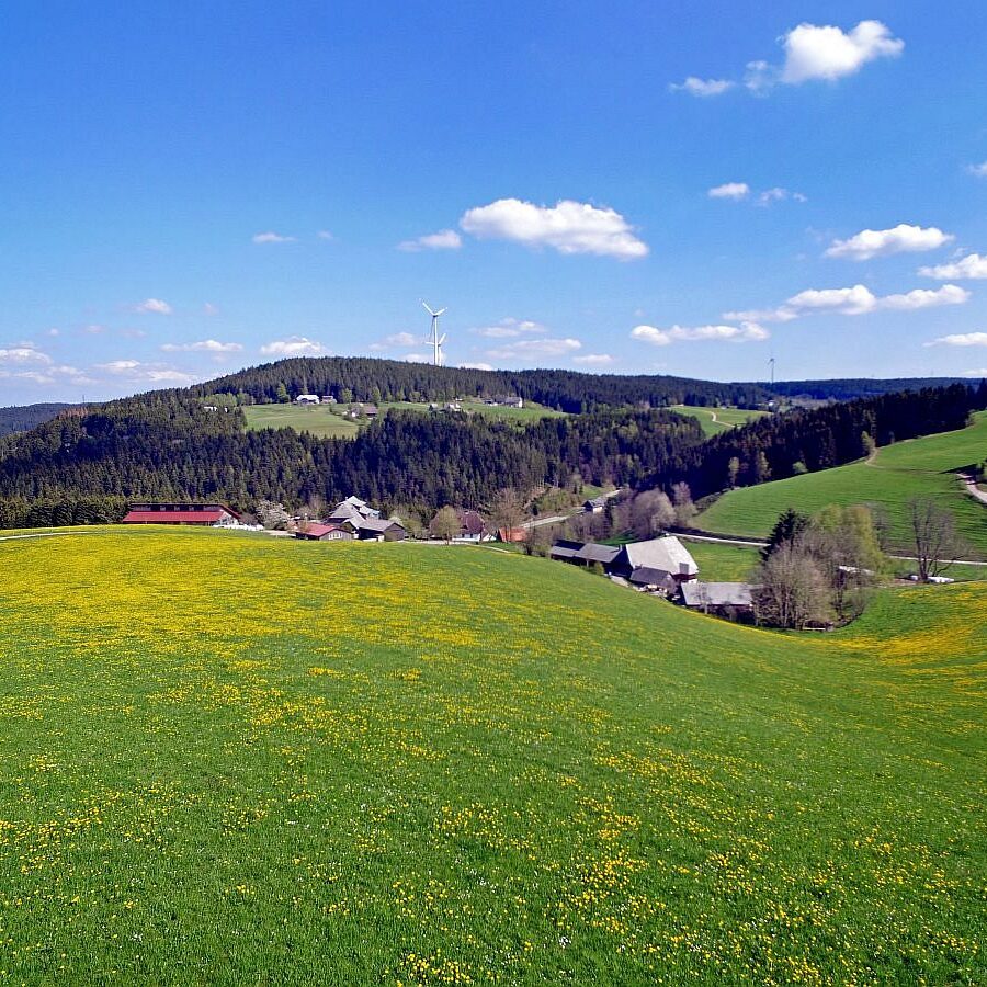 Mooshof und Schwarzenbach 10 1
