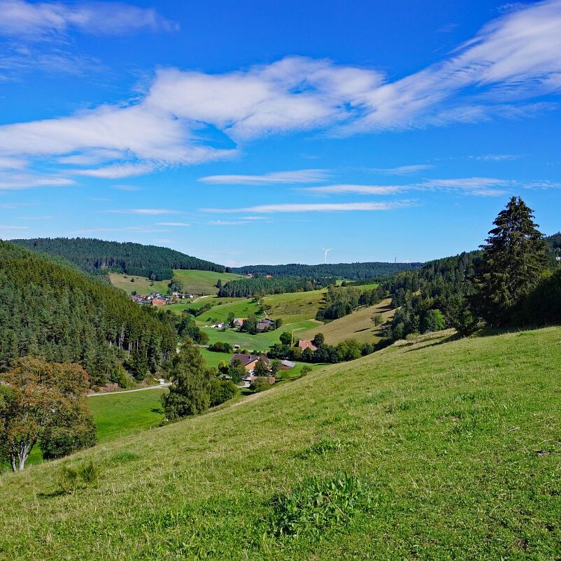 Mooshof und Schwarzenbach 11