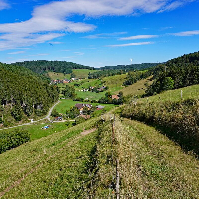 Mooshof und Schwarzenbach 14