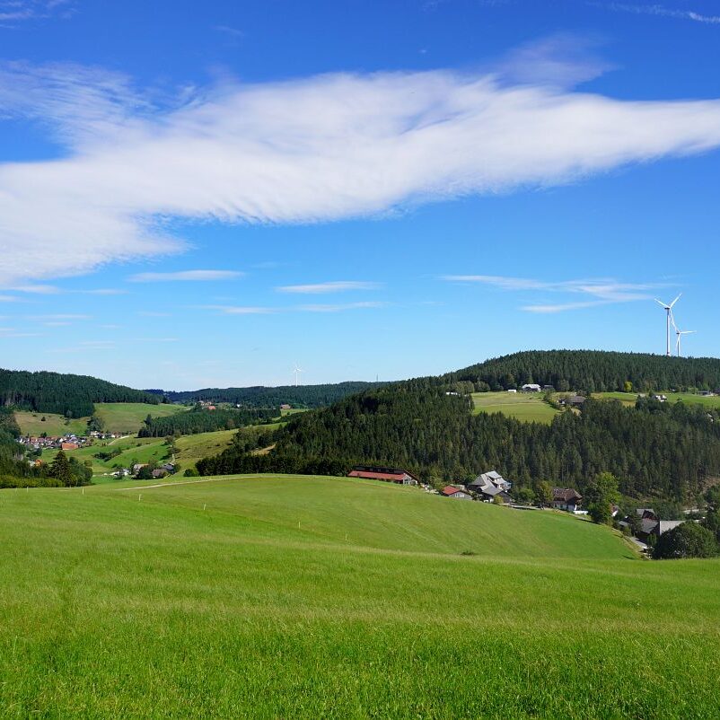 Mooshof und Schwarzenbach 17