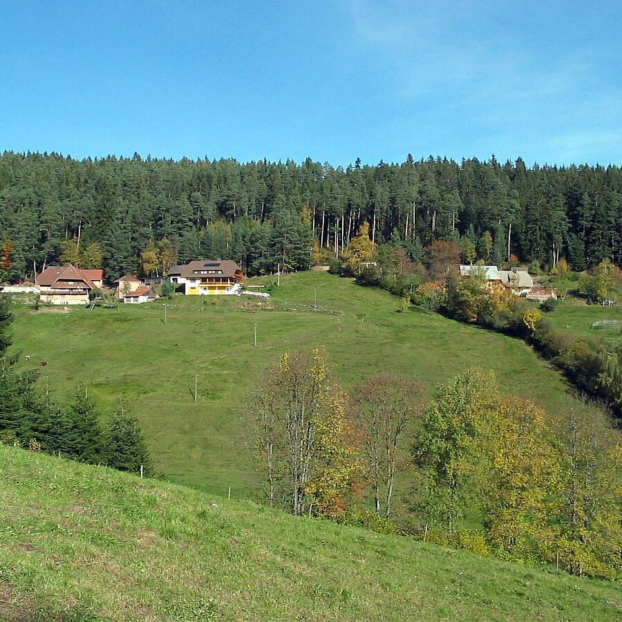 Mooshof und Schwarzenbach 2 1