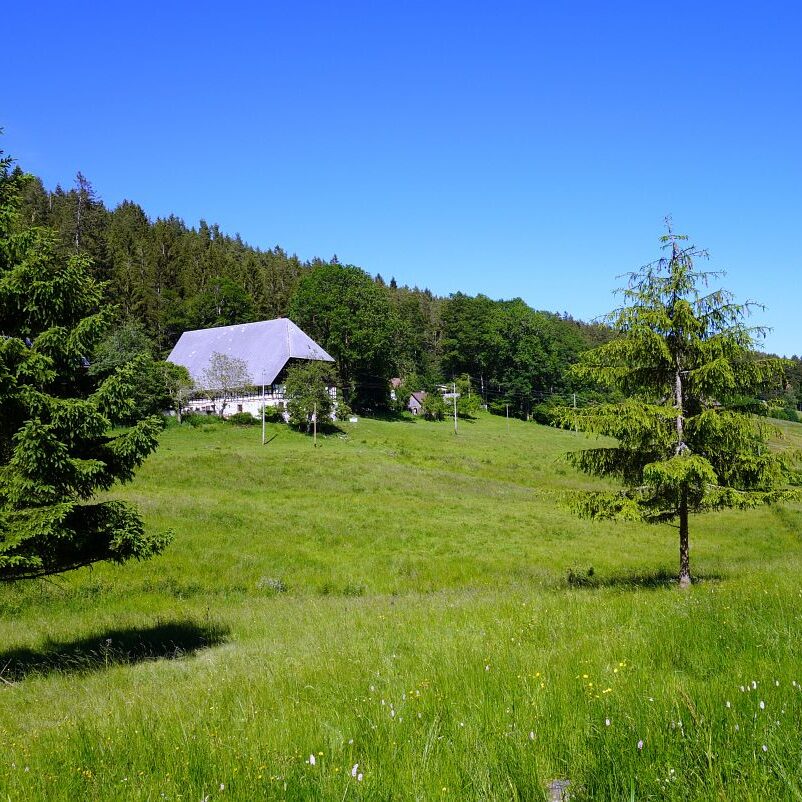 Mooshof und Schwarzenbach 2