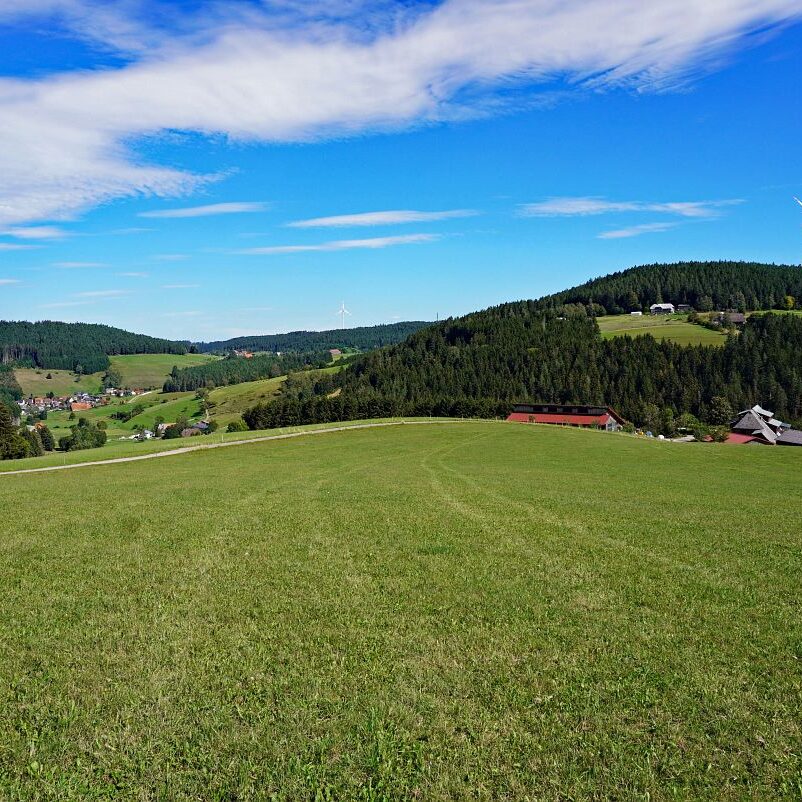 Mooshof und Schwarzenbach 21