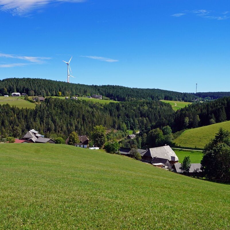 Mooshof und Schwarzenbach 22