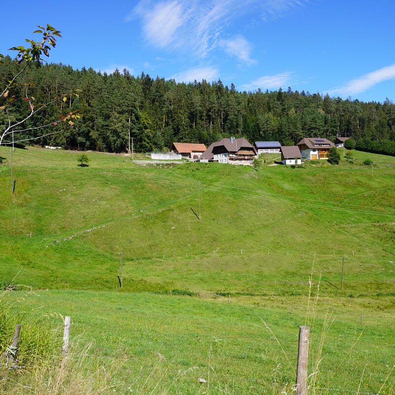 Mooshof und Schwarzenbach 3