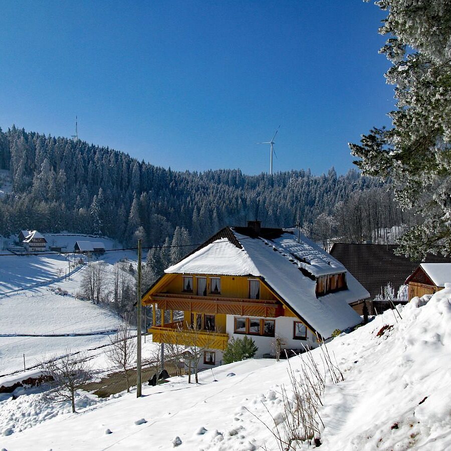 Mooshof und Schwarzenbach 4 1