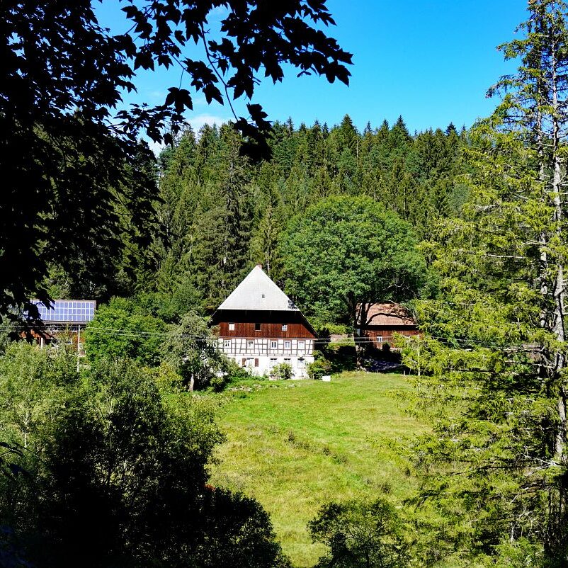 Mooshof und Schwarzenbach 4