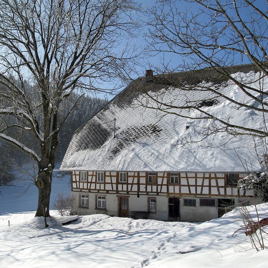 Mooshof und Schwarzenbach 5 1