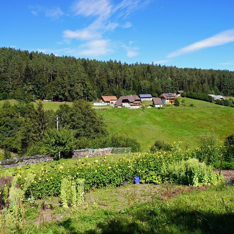 Mooshof und Schwarzenbach 5