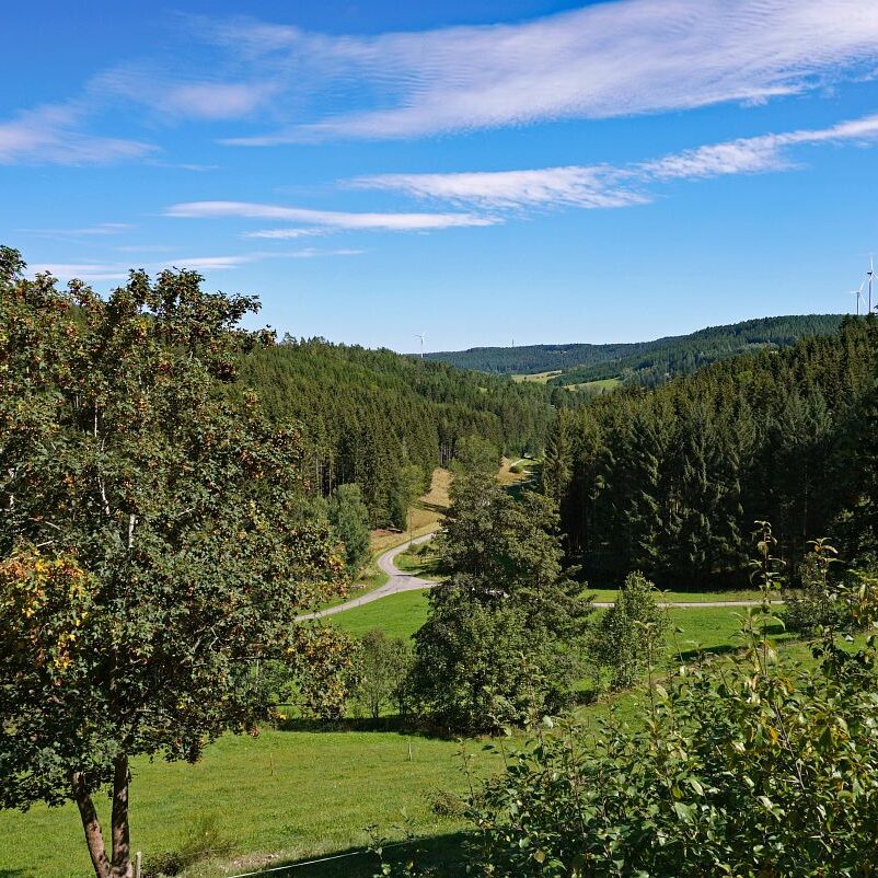 Mooshof und Schwarzenbach 6