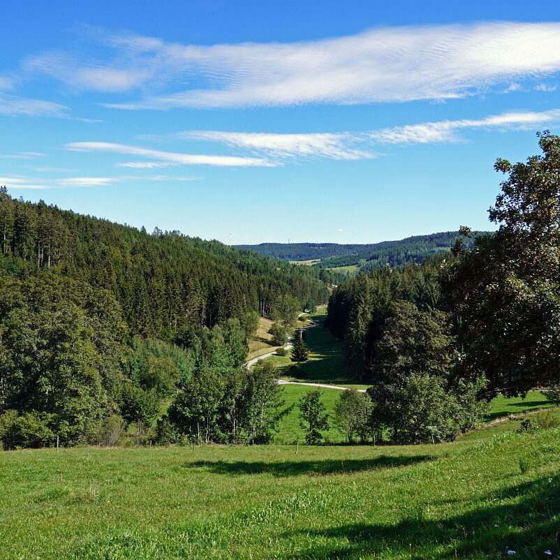 Mooshof und Schwarzenbach 7