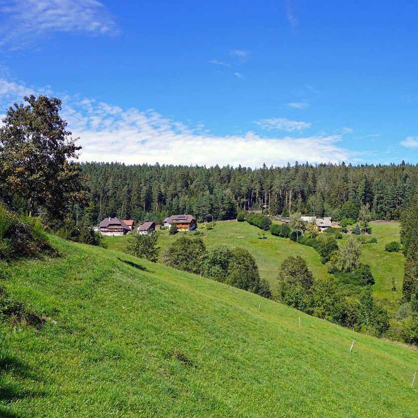 Mooshof und Schwarzenbach 8