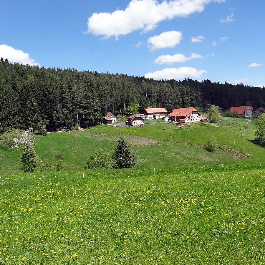 Mooshof und Schwarzenbach 9 1