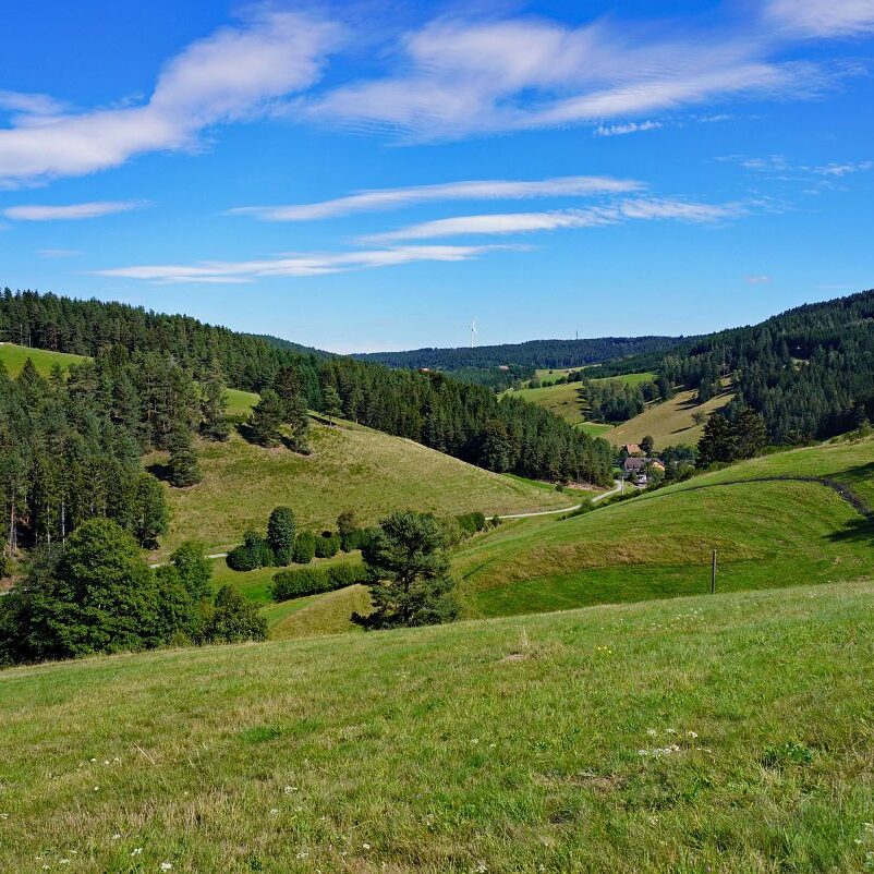 Mooshof und Schwarzenbach 9