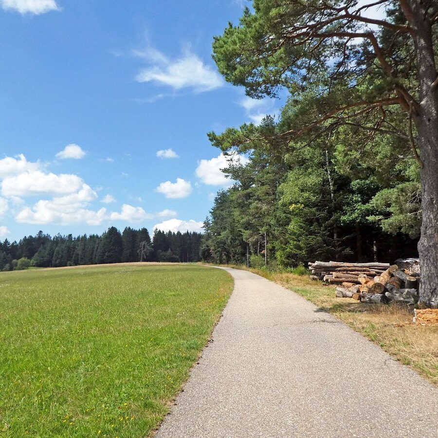 Falken Apfelfelsen Bremenloch 10