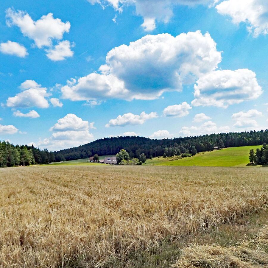 Falken Apfelfelsen Bremenloch 11