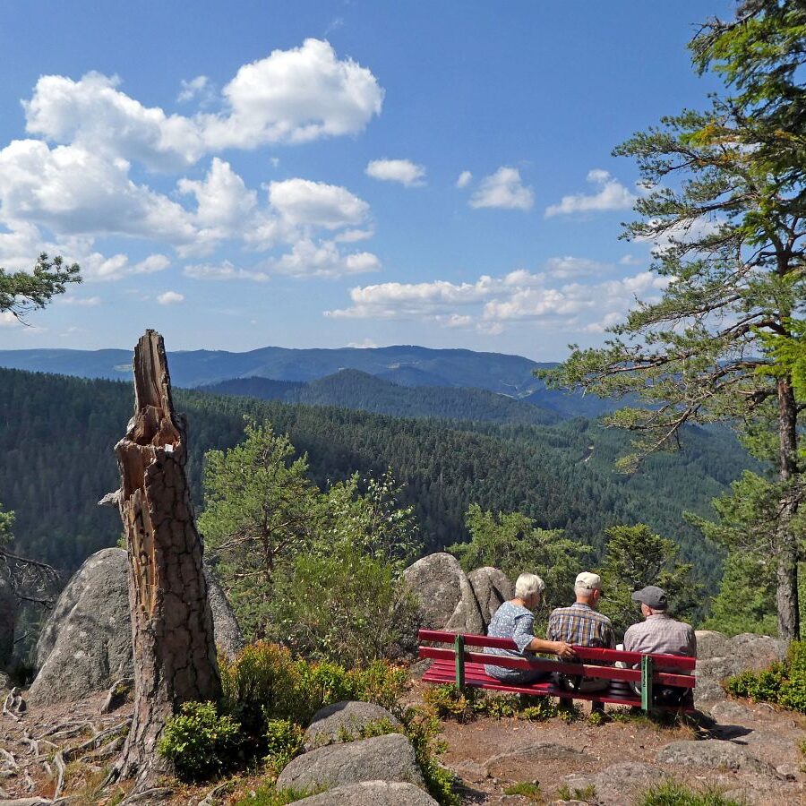 Falken Apfelfelsen Bremenloch 12