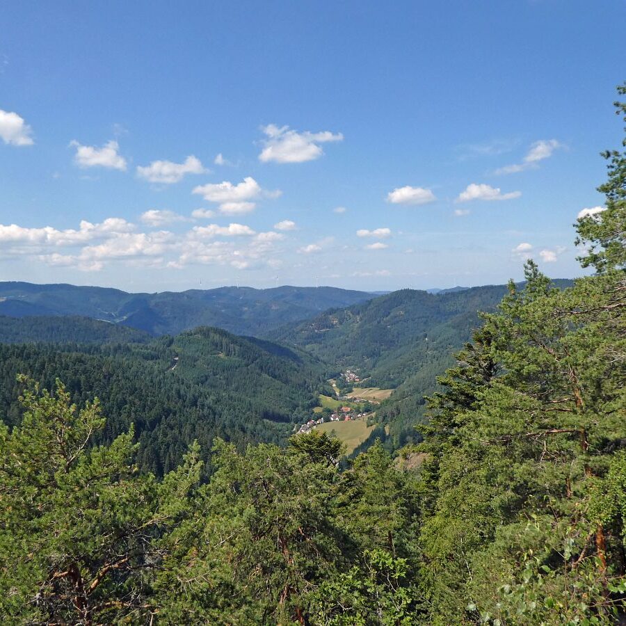 Falken Apfelfelsen Bremenloch 13